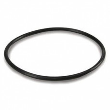 Уплотнительное кольцо для стальных корпусов (10SL)